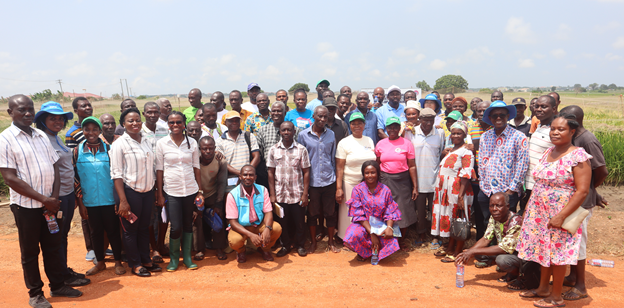 FARMERS IN GHANA’S IRRIGATION SCHEMES PREFER NEW AROMATIC RICE DEVELOPED BY CSIR-CROPS RESEARCH INSTITUTE